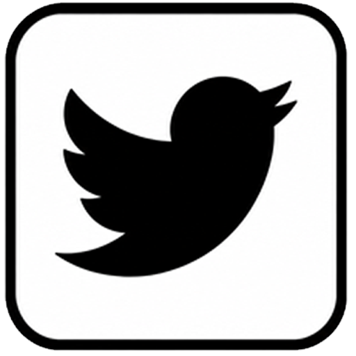 My Twitter Profile